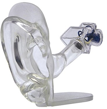 GPI Anatomicals W33383 Ohr Modell durchsichtig