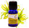 SVATV YLANG YLANG Ätherisches Öl Aromatherapieöle in therapeutischer Qualität Duftöl für Diffusor Yoga Massage & DIY Körperpflege 10 ml