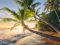 Ravensburger Puzzle 12000693 - Strandgeheimnis - 1500 Teile Puzzle für Erwachsene und Kinder ab 14 Jahren, Puzzle mit Strand-Motiv