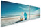 islandburner Prime Bild auf Leinwand Surfbretter am Strand Bilder Wandbilder Poster