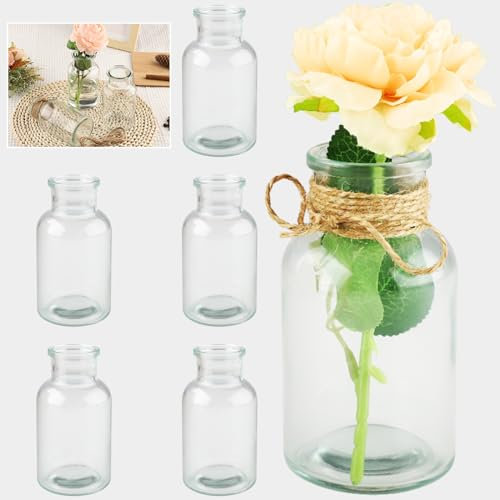 Mezzar Kleine Vasen, 12 Stück Glasvasen für Tischdeko 10CM Hoch Mini Vasen Glasfläschchen für Zuhause, Hochzeiten, Geburtstage, Feste 125ML