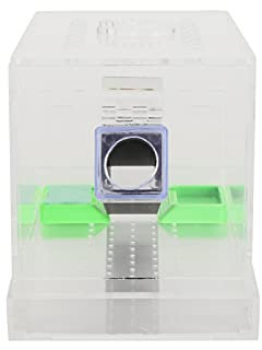 Cricket Keeper with Tubes, Acrylic Feeding Pen for Insects, Cockroach Care Kit, Reptile Box, Ideal for Cricket Breeding and Feeding (Small)