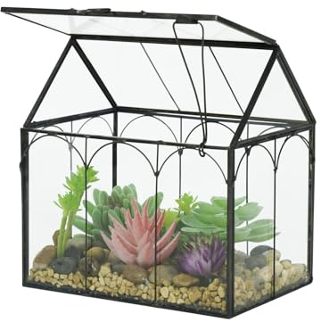 Glaspflanze Terrarium Container, 15,2 cm × 11 cm × 16 cm | Wardian Fall, Indoor, Kleine Saftige, Planter mit Tür, Tischplatte Dekor DIY