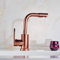 YHSGY Bathroom Sink Taps Rose Gold Space Aluminum Kitchen Faucet Vegetable Bathroom Basin Sink Water Taps Cold and Hot Mixer Luxury