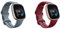 Fitbit Versa 4 Bundle