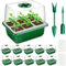 YAUNGEL Bandeja de Germinación de Semillas, 10 Pcs 60 Grande Agujeros Mini Invernadero Bandejas de Cultivo Germinación con 2 Herramientas de Jardinería, Ideal para Cultivo de Semillas y Plantas, Verde