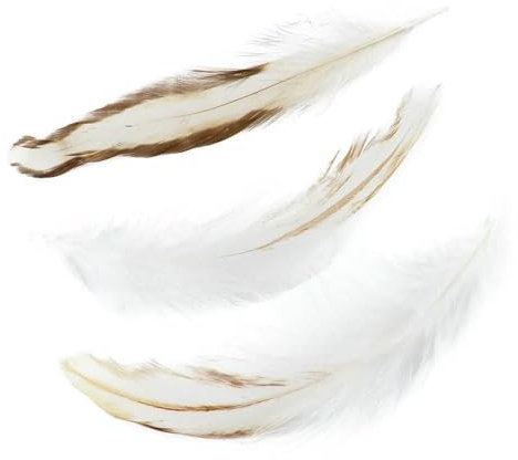 100 Stück natürliche weiße Hühnerfedern 10–13 cm Hahn-Makramee-Feder Basteln für Wandfestivals und Partys Juju-Hut-Dekoration-100 Stück