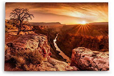 Paul Sinus Wandbild 60x40cm Dekorative Kunst Grand Canyon USA Sonnenuntergang Fluss Baum