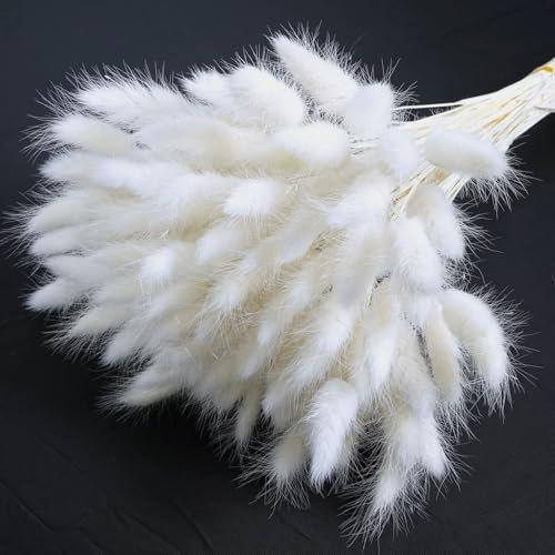Barlone 120 Stück Pampasgras Klein, Hasenschwanzgras Getrocknet Pampasgras Deko, Pampas Gras Trockenblumen Weiß, Trockenblumen Klein Pampas Gras für Deko Wohnzimmer Hochzeit Tischdeko