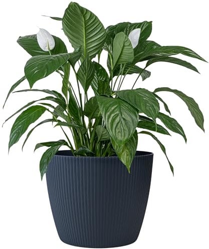 KONZEPT Vaso da fiori grande, antracite, struttura scanalata, 30 cm, vaso per piante da interno, in plastica, ideale per soggiorno, cucina e balcone
