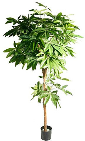 Klocke Kunstpflanzen XL Kunstbaum - Pachira Baum - Höhe 180cm / Durchmesser 150cm - 594 Blätter - Hochwertiger Dekobaum