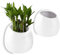 T4U Keramik Blumenampel Hängende Wand Blumentopf weiß, 10cm x 6cm x 10cm (L x B x H), 2er Set