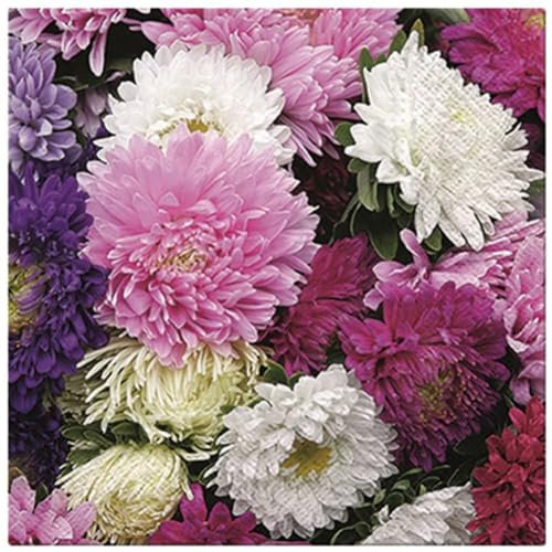 Neu Premium Collection by Jean 20 Stück Servietten Sommerblumen Dahlien Mix Blumen, Mehrfarbig, 33cm x 33cm
