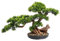 Künstliche Pflanze, künstliche Bonsai-Kiefer, realistische künstliche Pflanzendekoration, immergrüne Bonsai-Topfpflanzen für das Zimmer zur Präsentation auf dem Schreibtisch 65 * 25 * 45cm