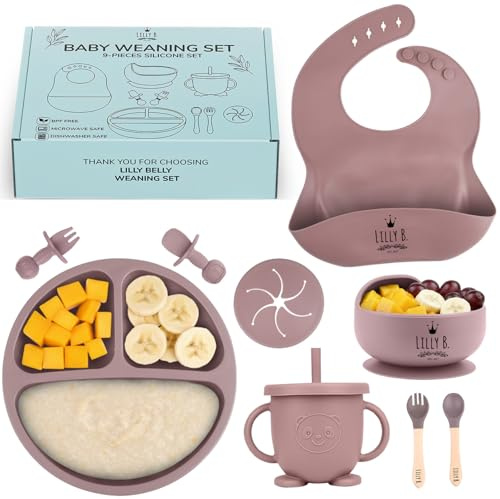 Baby Weaning Set – 9pc BPA Free Silicone Weaning Set with Suction Weaning Plate, Weaning Bowls, Sippy Cup, Weaning Bib, Weaning Spoons – Baby Led Weaning Kit for Babies & Toddlers (Rosewood Blush)