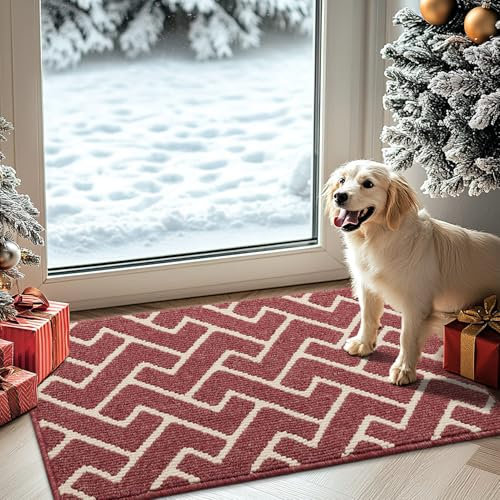 Biscpro Indoor Door Mats,50x80cm Door Mat Non Slip Backing,Dirt Trapper Mat Absorbent Non-Slip Doormat for Entrance,Inside,Kitchen,Front Back Door,Pets and Garden-Red