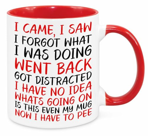 I Came I Saw I Forgot Mug - Funny Novelty Gift Silly Present Mugs for Women Birthday Christmas for Mum Dad Friend Sister for Men Colleague Secret Santa Work Quotes (Red)