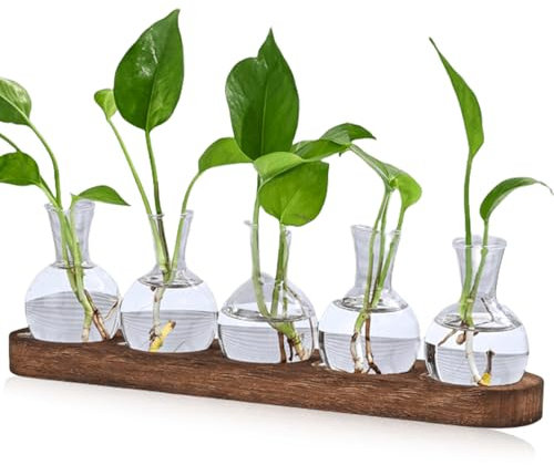 Terrario per piante, 5 stazioni di propagazione vintage con vassoio in legno marrone, vaso di vetro, piccoli vasi di fiori, per decorazione da tavolo, mini vasi idroponici, decorazione per fiori,