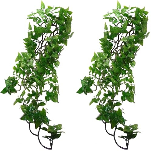 Komodo Philodendron Plant, 60 cm, Green (Pack of 2)