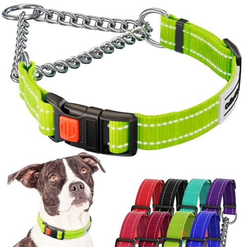 CollarDirect Reflektierendes Hundehalsband, Martingale-Halsbänder, seitliche Schnalle, Kette Training, verstellbare Haustier Halsbänder (Lindgrün, M, 35-42 cm)