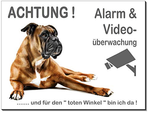 Boxer-Alarm-Video-Schild-3 Größen-Aluminium Verbund-Hund-Tierschild-Warnschild-Hinweisschild (1450-69 -200 x 150 x 2 mm mit Klebepads)