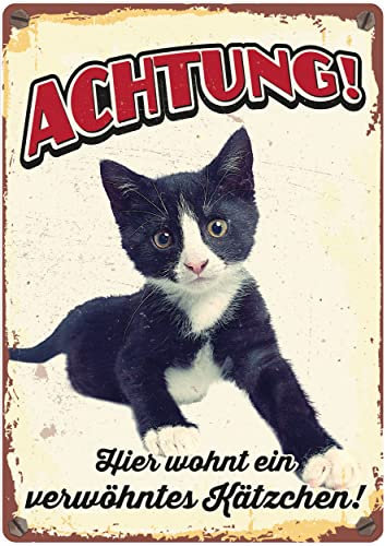 Plenty gifts Metallschild Vintage Achtung Verwöhntes Kätzchen