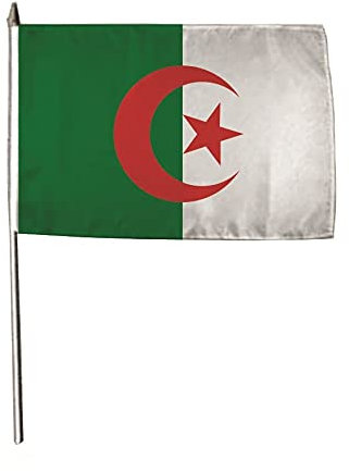 U24 Lot de 3 drapeaux Algérie 30 x 45 cm