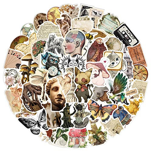AUCEKO 100PCS Stickers for Vintage,Cottagecore Stickers,Teens Boys and Girls Sticker Pack Vinyl Skateboard Guitar Door Laptop Luggage Car Bike Water Bottle Birthday Party Supplies Stickers