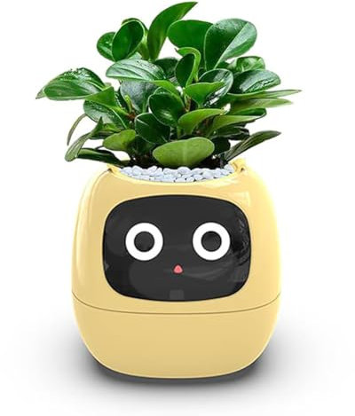 Pot de fleurs intelligent pour plantes d'intérieur avec expressions, capteurs intelligents, écran LCD, contrôle – Installation soignée de bureau cadeau