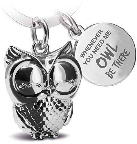 FABACH Eule Schlüsselanhänger Owly mit Gravur - Süßer Schlüsselanhänger Eule - Freundschaft und Liebe Glücksbringer aus Metall für Frauen in Silber - Whenever you need me owl be there
