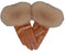 Damen Lederhandschuh Winter Warm Schaffell Handschuhe Mode Thermo Gefüttert Fahren Handschuhe, Khaki9, L (Palm Size 19cm)