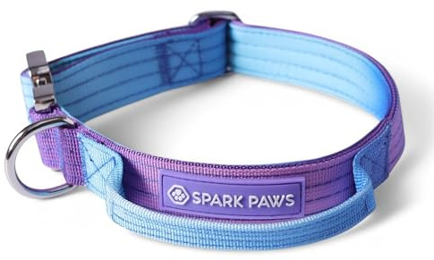 Spark Paws Taktisches Hundehalsband – Robuste, Premium-Qualität, Dick und Langlebig für Große und Mittelgroße Hunde - 90s Retro, XS: 9-18kg [2.5cm]