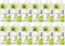Areon Clima Fresh Ambientador Manzana Verde Casa Aire Acondicionado Olor Fruit Original Perfume Hogar Salón Habitación Oficina Tienda Duradero Moderno ( Green Apple Pack de 12 )
