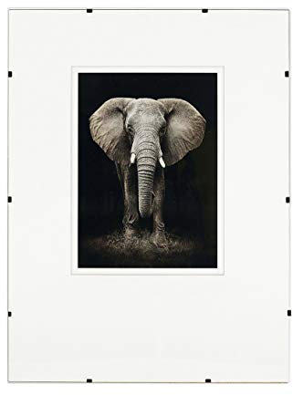 postergaleria Cadre photo sans cadre | 50x70cm | Verre acrylique | avec clips | Porte-photo pour affiches photos | Cadre d'affiche | plusieurs tailles | bon pour salon, salle à manger, cuisine