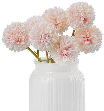 cn-Knight Pom Pom Pom Mamma Crisantemo 24 pz 24 pollici Pompon Mamma Fiori per Matrimonio Nuziale FAI DA TE Bouquet Decorazioni per la Casa Centrotavola (Champagne)
