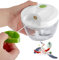 Hachoir à oignons, 450 ml, coupe-légumes, coupe-oignons, cuisine, multi-hachoir manuel à 3 lames, mini-hachoir pour oignons, salade, fruits, ail, viande, noix