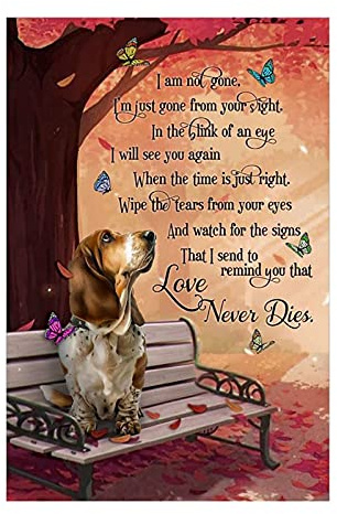 TNND Basset Hound And Butterfly I Am Not Gone I¡¯M Just Gone From Your Sight Metal Sign Bathroom Decor Vintage Mural 8X12 inches