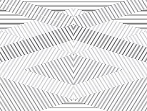 Rasch Tapeten 100440 - Fototapete mit geometrischem Design aus feinen Linien in Grau und Schwarz aus der Young Artists Kollektion – 2,80m x 3,72m (L x B)