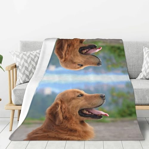 Dnbclezk Golden Retriever Gewichtsdecke für Hunde, weiche Flanelldecke, personalisierter Druck, Überwurf, Sofadecke, Bettdecke, passend für alle Jahreszeiten