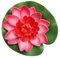 Lot de 6 fleurs artificielles flottantes avec feuilles pour étang, piscine, fontaines, décorations de jardin