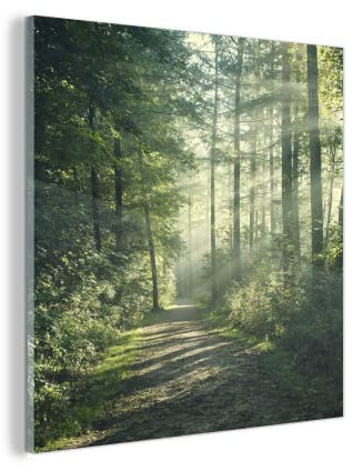 Glasbild Glasfoto Wandbild Bilder Deko 50x50 cm Wald - Licht - Weg