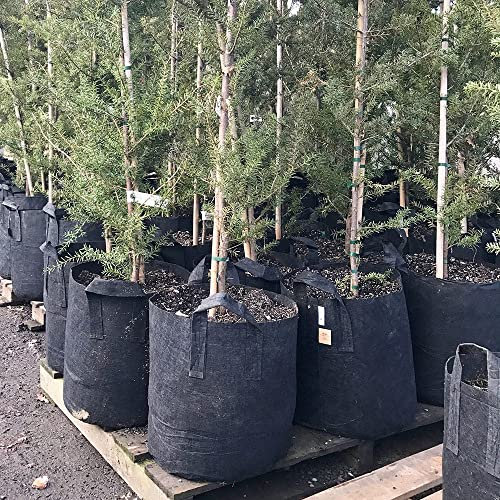 Root Pouch Bag/Pot/Growing Container Geotextile 10 GAL (39L)