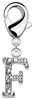 beyoutifulthings Damen Charm-Anhänger Buchstabe F Silber Zirkonia Clear Bettel-Armband Charm-träger Fuß-kettchen Hals-kette Chirurgenstahl