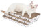 ComSaf Cat Scratcher Cardboard, 43 x 26 cm Large Size Cat Scratcher Pads, 3PCS Double-Sided Scratching Board Easy for Cats to Scratch, Durable Reversible Recycle Corrugate Scratch Pad for Indoor Cats