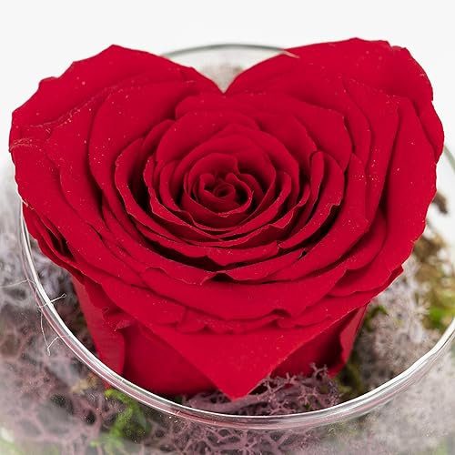 Ewige Rose im Glas - handgefertigt - Bunte Infinity Rosen Blumen Deko Geschenke, konservierte Rosen Rosenkopf im Glas mit Geschenkbox 3 Jahre haltbar (Rot Herz)