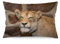 NIBABA Kissenbezüge, 1 Stück, große Afrika, Katze, Raubtier, dekorative Kissenbezüge, 50 x 75 cm, weiches Polyester, quadratisch