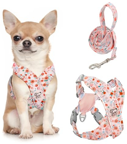 Pawaboo Kleines Hundegeschirr und Leine Set Verstellbar