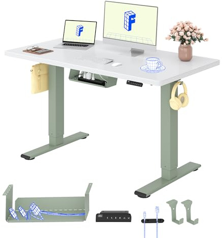 FLEXISPOT Schreibtisch Höhenverstellbar Elektrisch, Dual Motor Ergonomischer Bürotisch mit 25 mm einteiliger Tischplatte 120x80 cm und Kabelmanagement, Memory Funktion & Höhenanzeige