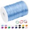 CAMAL 2mm Fil Nylon pour Bracelet, 100m Fil Bracelet Cordon Satin Cordon Bracelet Coulissant Coloré Ficelle Collier pour Pendentif, Perles, Creation Bijoux, DIY Artisanat (Bleu Clair)