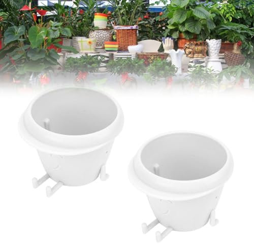 BAFOVY Plastic Planter with Faces, Cute Straight Leg Planter, Funny Smile Face Pot with Drainage, Indoor Plants (White)